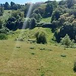 Panzió Quinta Da Pera Rocha 4*