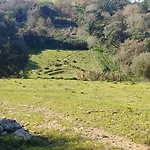 Quinta Da Pêra Rocha Couette-café Alcobaça