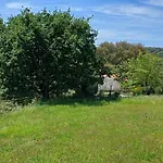 Quinta Da Pêra Rocha Alcobaça