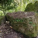 Quinta Da Pêra Rocha Alcobaça