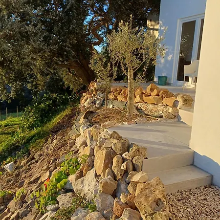 Quinta Da Pera Rocha