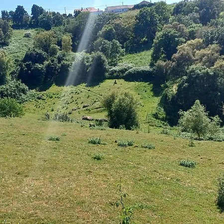 Bed & Breakfast Quinta Da Pera Rocha *
