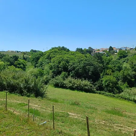Quinta Da Pera Rocha Bed & Breakfast *