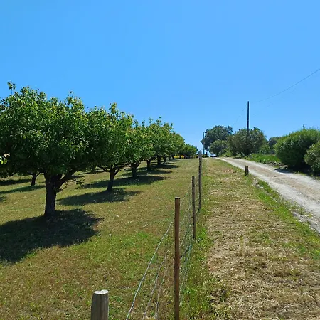 Quinta Da Pera Rocha Bed & Breakfast Alcobaca