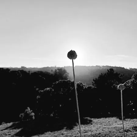 Bed & Breakfast Quinta Da Pera Rocha 3*