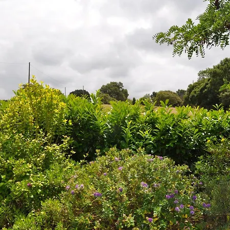 Quinta Da Pera Rocha Bed & Breakfast Alcobaca