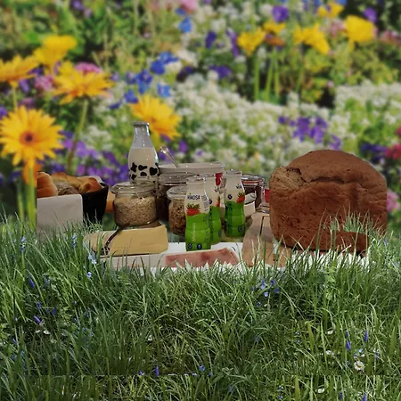 Quinta Da Pêra Rocha Alojamento de Acomodação e Pequeno-almoço 3*