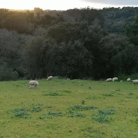 Quinta Da Pera Rocha Alcobaca