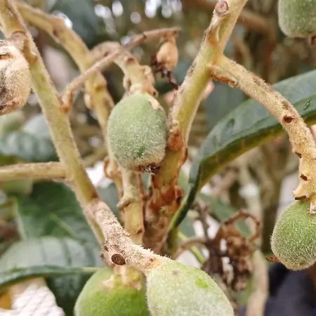 Bed & Breakfast Quinta Da Pera Rocha