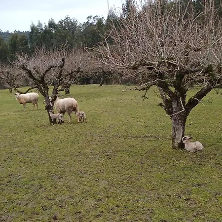 Bed & Breakfast Quinta Da Pera Rocha Alcobaca