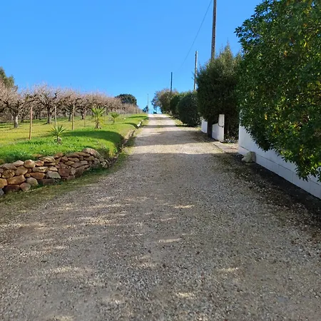 Quinta Da Pera Rocha Bed & Breakfast Alcobaca