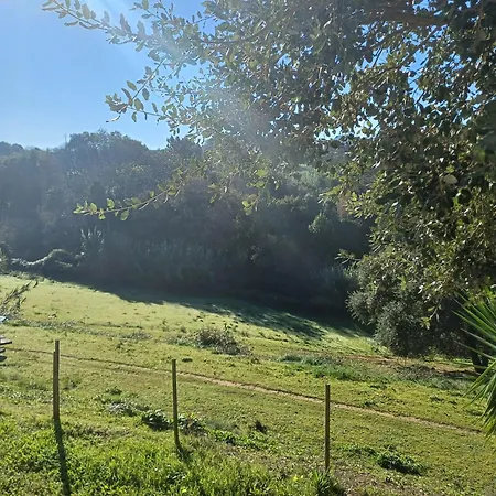 Quinta Da Pera Rocha Bed & Breakfast Alcobaca
