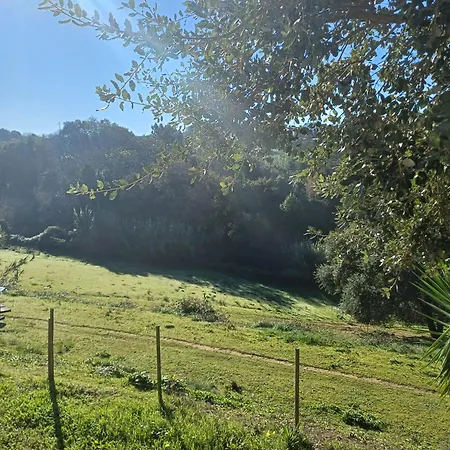 Quinta Da Pêra Rocha Alojamento de Acomodação e Pequeno-almoço Alcobaça