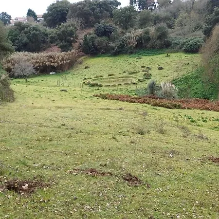 Quinta Da Pêra Rocha Alojamento de Acomodação e Pequeno-almoço