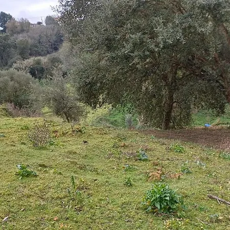 Quinta Da Pera Rocha * Alcobaca