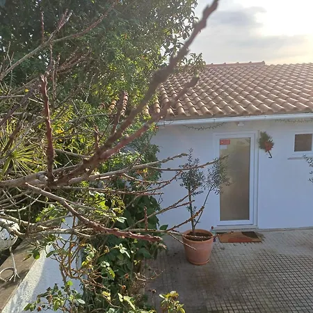 Bed & Breakfast Quinta Da Pera Rocha Alcobaca