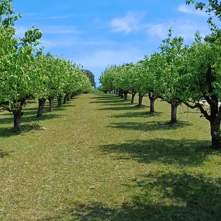 Quinta Da Pera Rocha Bed & Breakfast Alcobaca