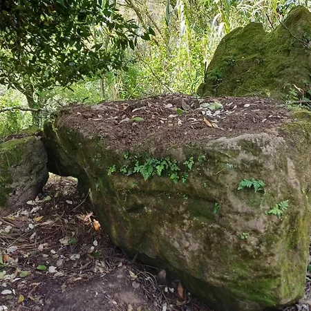 Quinta Da Pera Rocha Alcobaca