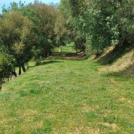 Quinta Da Pera Rocha לינה וארוחת בוקר 4*