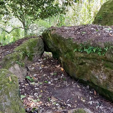 Quinta Da Pêra Rocha Alojamento de Acomodação e Pequeno-almoço Alcobaça