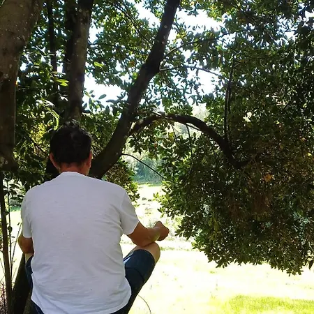Quinta Da Pera Rocha 4* אלקובאקה