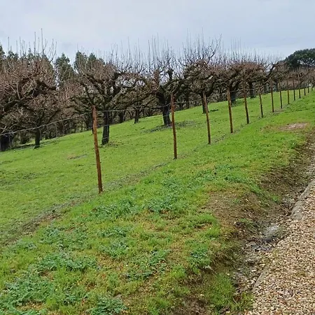 Quinta Da Pera Rocha 3*