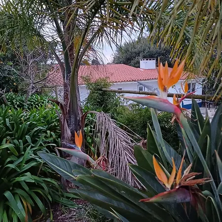 לינה וארוחת בוקר Quinta Da Pera Rocha