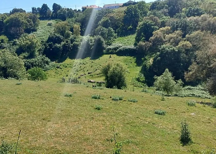 Bed and Breakfast Quinta Da Pera Rocha 3*