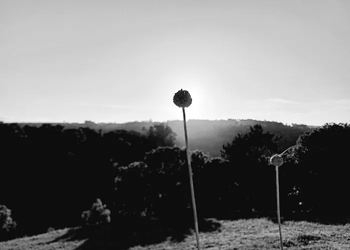 Bed & Breakfast Quinta Da Pera Rocha 3*