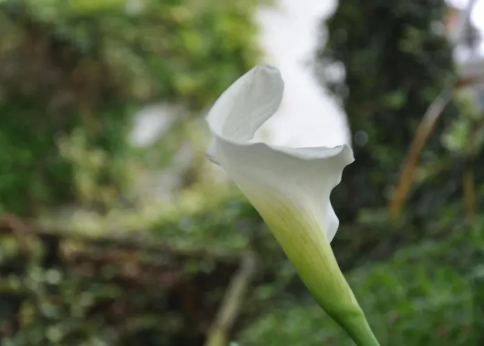 Quinta Da Pera Rocha 3* Alcobaça