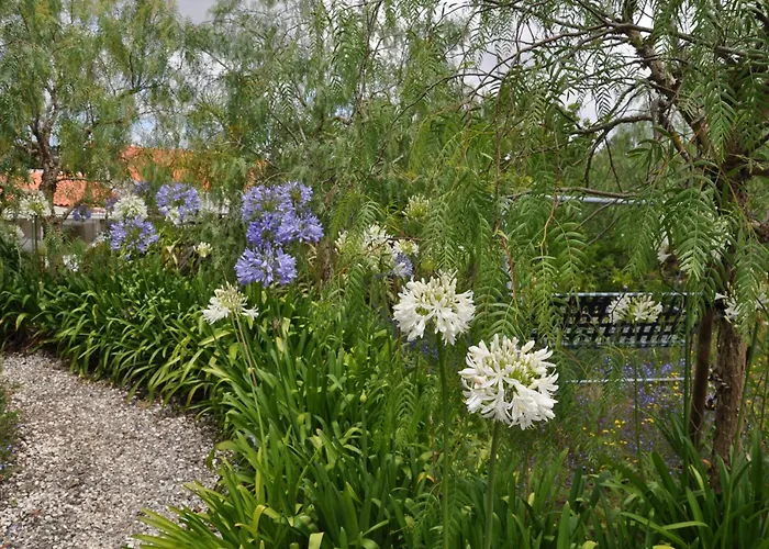 Quinta Da Pera Rocha Alcobaça