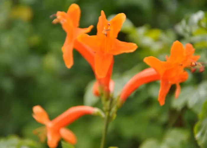 Bed & Breakfast Quinta Da Pera Rocha