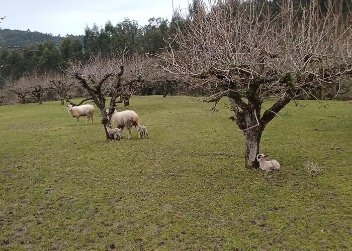 Bed & Breakfast Quinta Da Pera Rocha Alcobaça