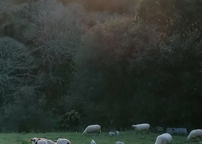 Quinta Da Pera Rocha Alcobaça