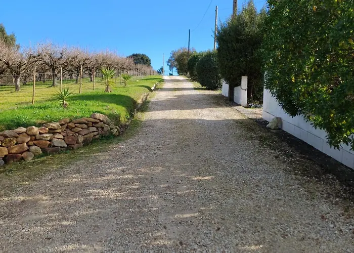 Quinta Da Pera Rocha Bed and Breakfast Alcobaça