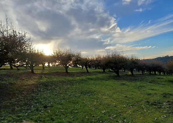 Quinta Da Pera Rocha