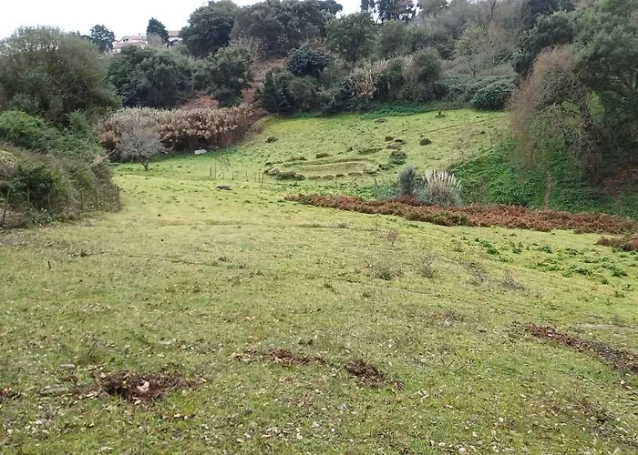 Quinta Da Pera Rocha Bed & Breakfast