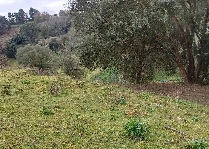 Quinta Da Pera Rocha 3* Alcobaça