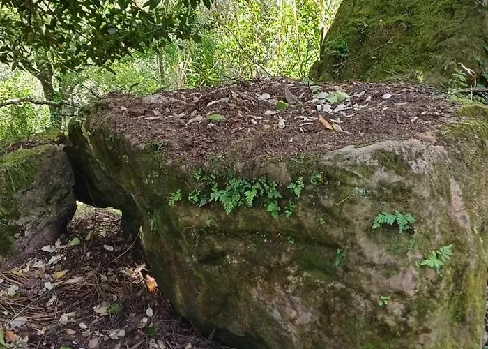 Quinta Da Pera Rocha Alcobaça