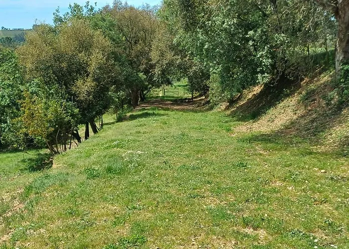 Quinta Da Pera Rocha Bed and Breakfast 3*