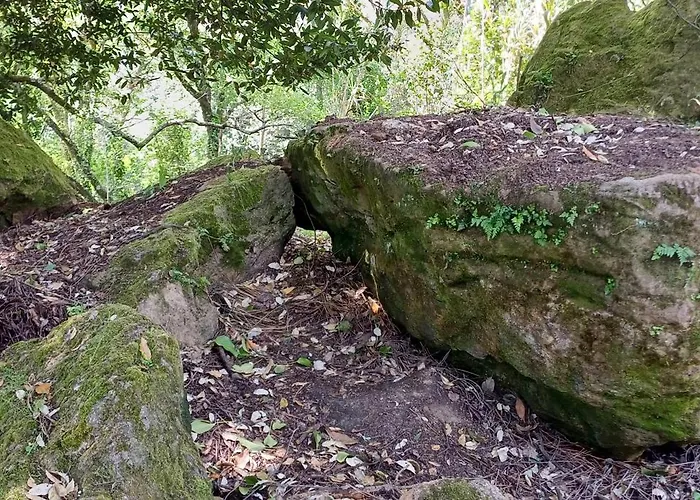 Quinta Da Pera Rocha Bed and Breakfast Alcobaça
