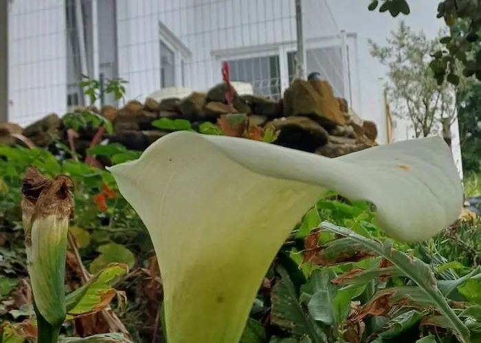 Bed and Breakfast Quinta Da Pera Rocha