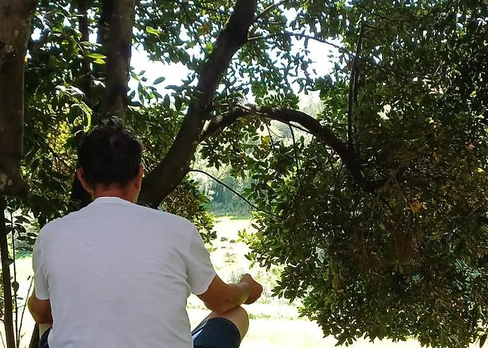 Quinta Da Pera Rocha 3* Alcobaça